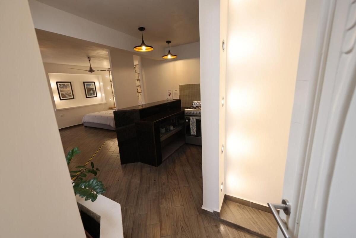 Apartment In Downtown *